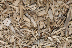 biomass boilers Trebyan