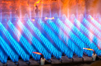 Trebyan gas fired boilers